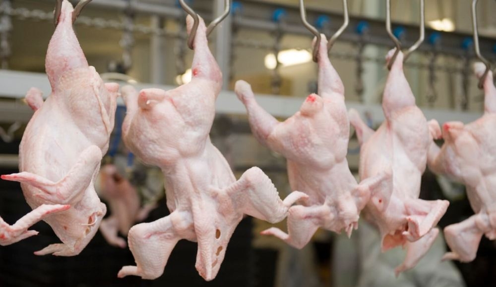 Пресечена попытка контрабандного ввоза в КР более 80 тонн мяса птицы из Китая