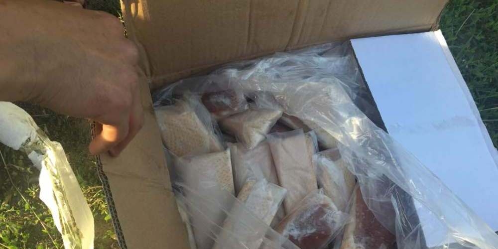 ГСБЭП пресекла попытку ввезти контрабандой мясо утки на 700 тысяч сомов
