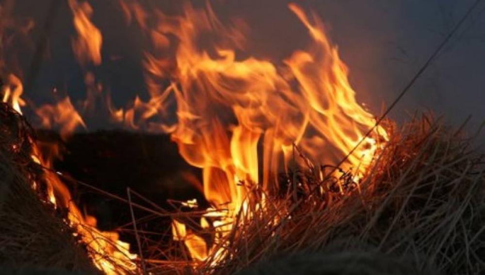 В Иссык-Кульском районе на конюшне ипподрома III ВИК произошел пожар