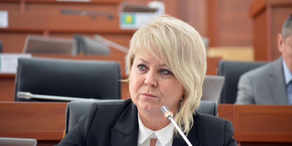 Депутат Ирина Карамушкина снова просит аудиенции у президента