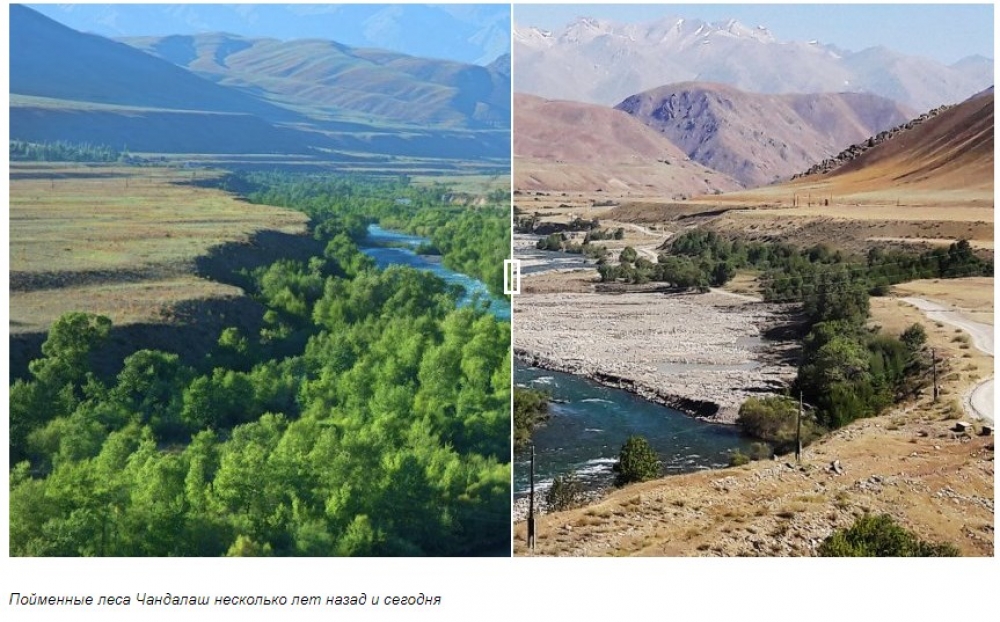 Исчезающий Чаткал. Экологическая ситуация в Кыргызстане в двух фото