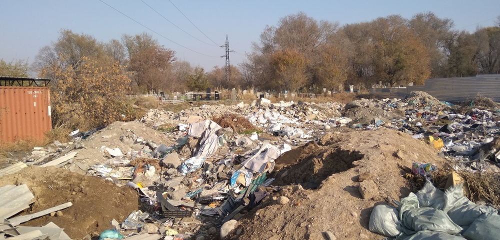 Кладбище в Военно-Антоновке превращается в мусорную свалку (фото)