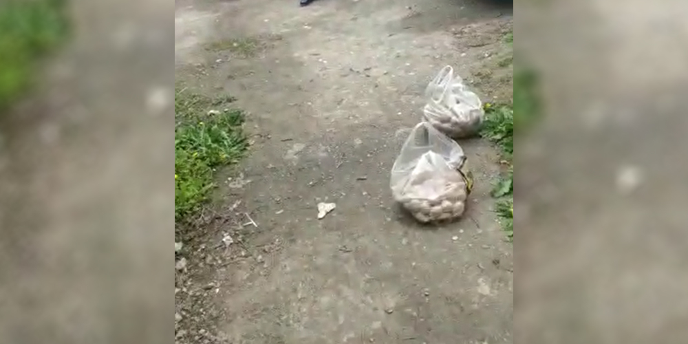 Два пакета картошки и два мешка муки на 50 жителей микрорайона – гумпомощь от мэрии Оша (видео)