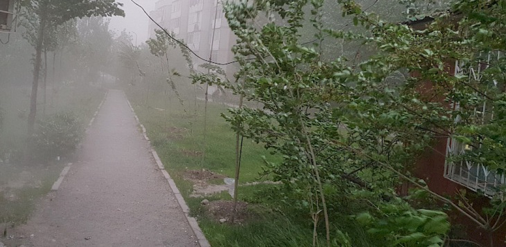 Будьте осторожны! Бишкек и Чуйскую области в ближайший час ожидает шквалистый ветер