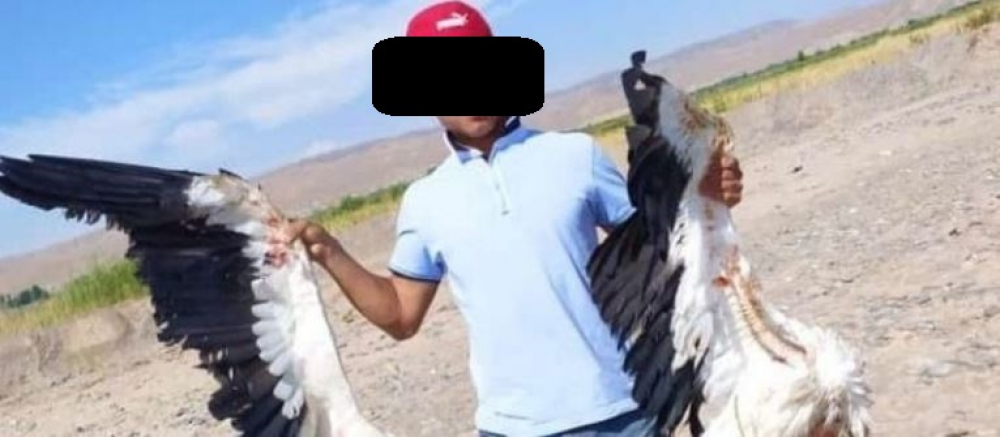 Мужчина убил трех белых краснокнижных аистов и выложил фото в соцсети