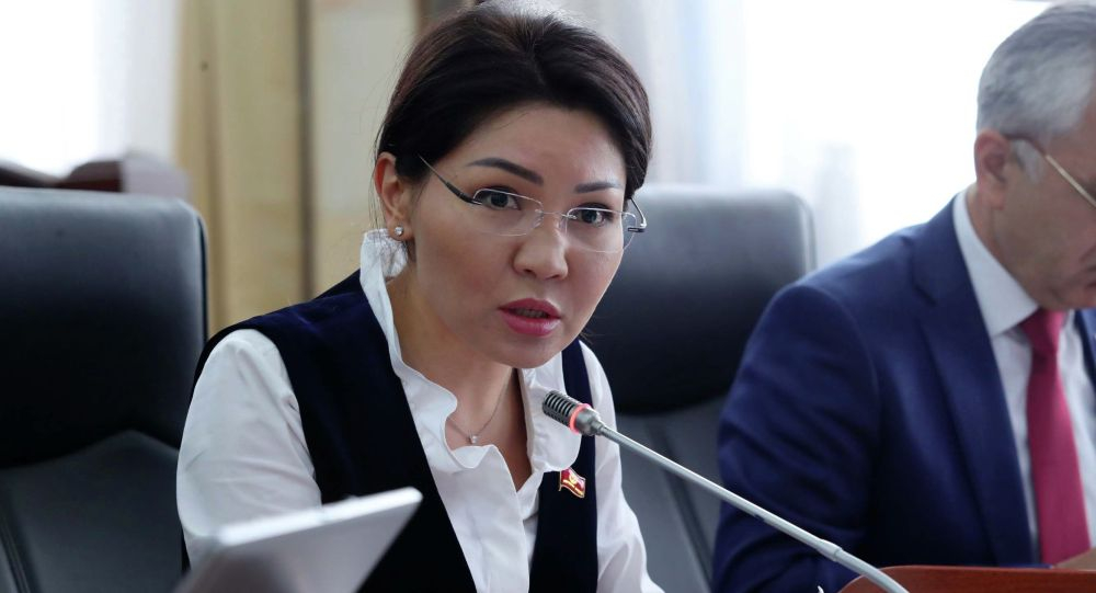 Профильный комитет одобрил выдвижение Эльвиры Сурабалдиевой на должность вице-премьер-министра
