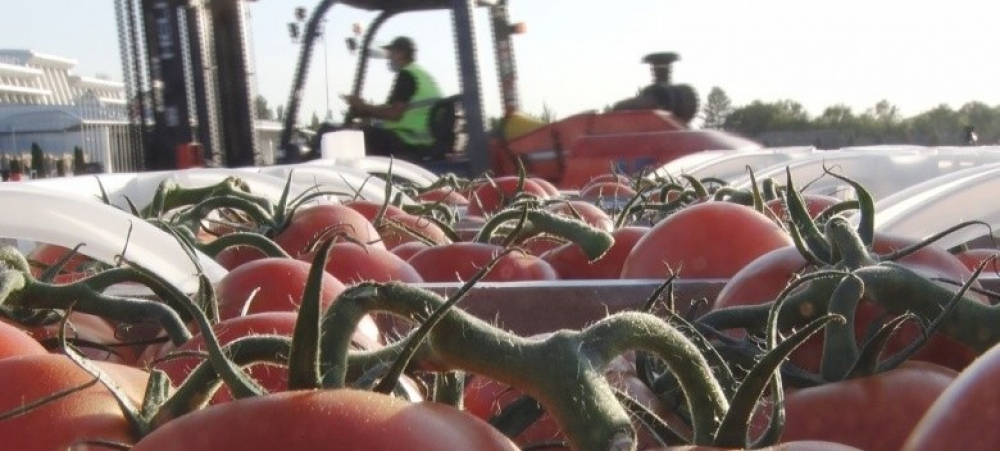 Контракт на $21 млн. Жапаров договорился о поставке из Туркменистана помидоров, моркови и сантехники