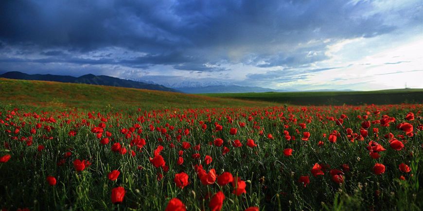 National Geographic: восемь прекрасных мест Кыргызстана, обязательных к посещению