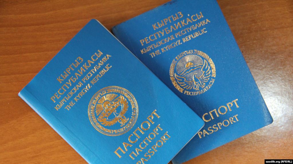ИИМ: Быйыл мыйзамсыз паспорт берүү боюнча 36 иш козголду