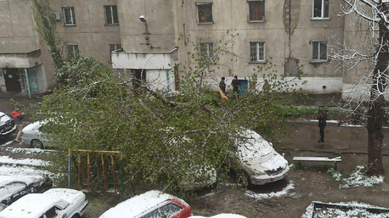 Последствия снегопада в Бишкеке: разбитые автомобили и поврежденные троллейбусные линии (фото, видео)