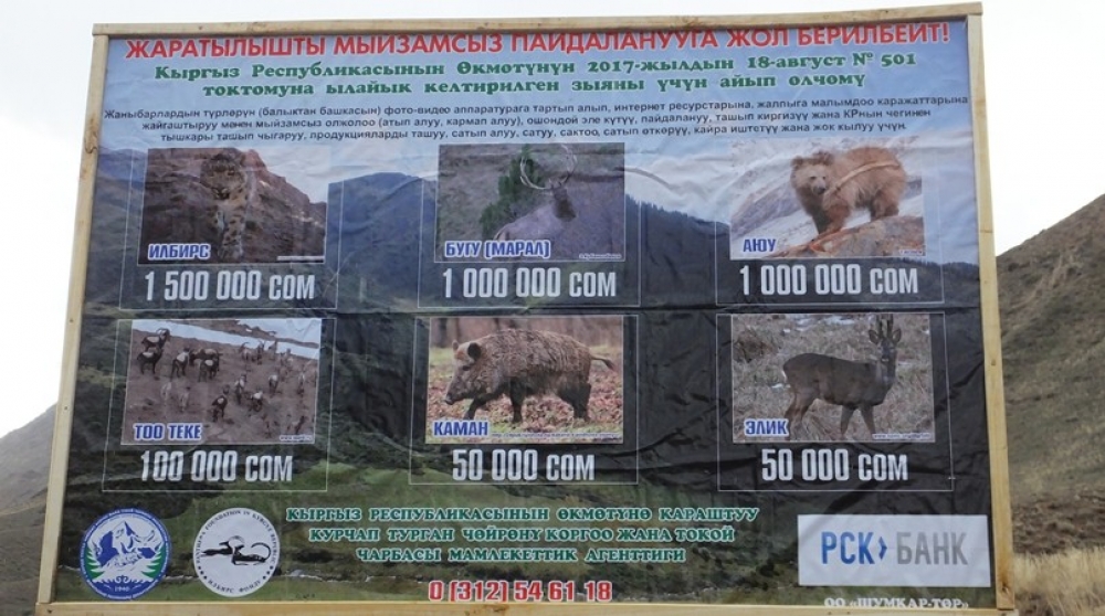 В Боомском ущелье установили баннер с призывом сохранить диких животных