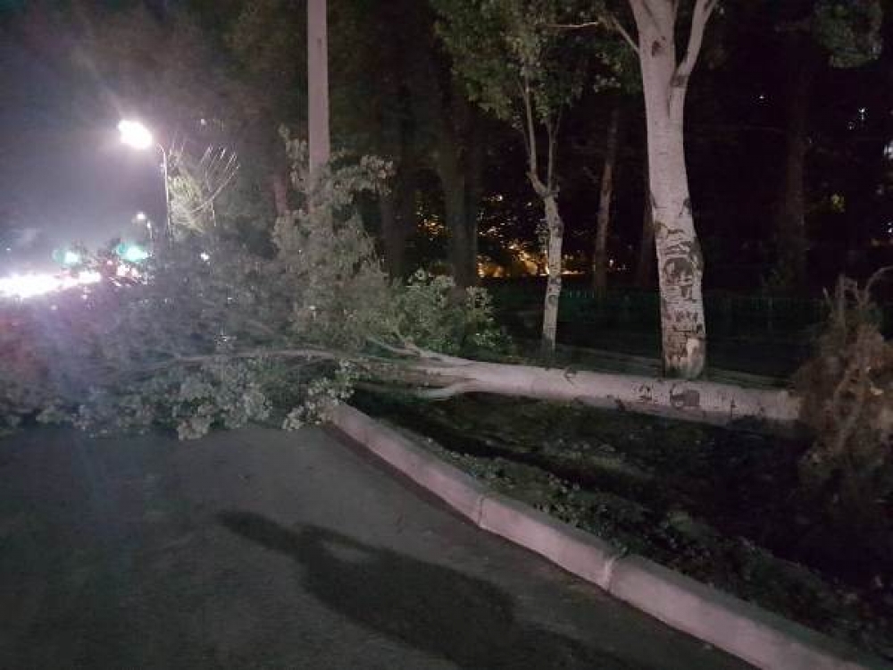 Сильный ветер оставил без света некоторые районы столицы и Чуйской области