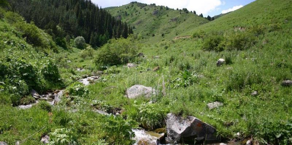 Ущелье Карагай-Булак: туристы, рыси, мусор