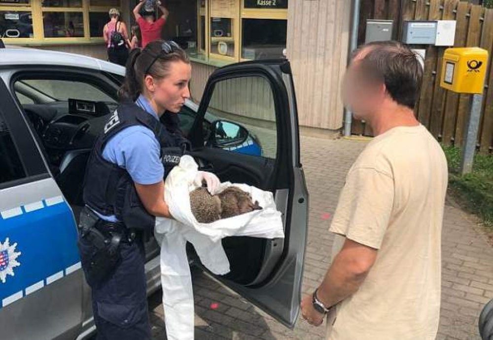 В немецком городе Эрфурт сотрудники полиции спасли двух пьяных ежей