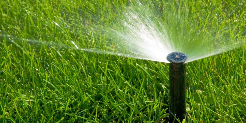 «Бишкекзеленхоз» увеличил объем поливной воды в дни аномальной жары