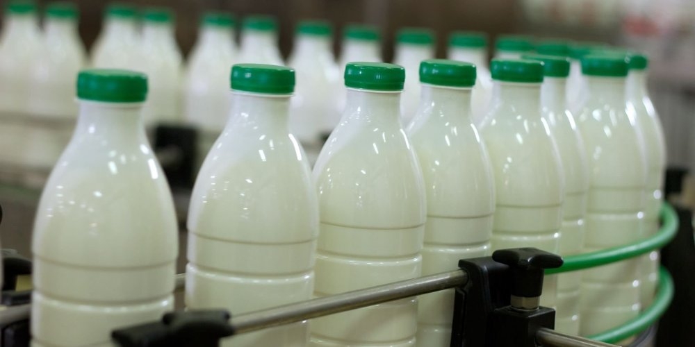 Молочные продукты станет проще отличить от молокосодержащих