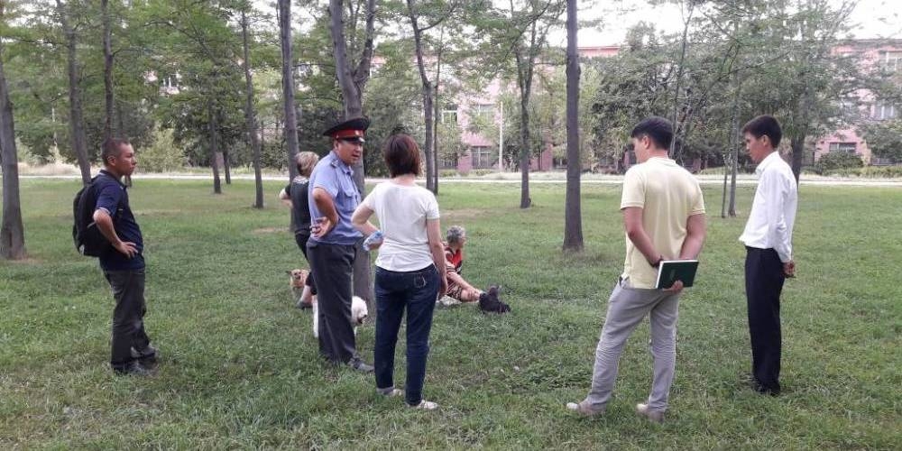 В мэрии Бишкека рассказали, как правильно содержать и выгуливать собак