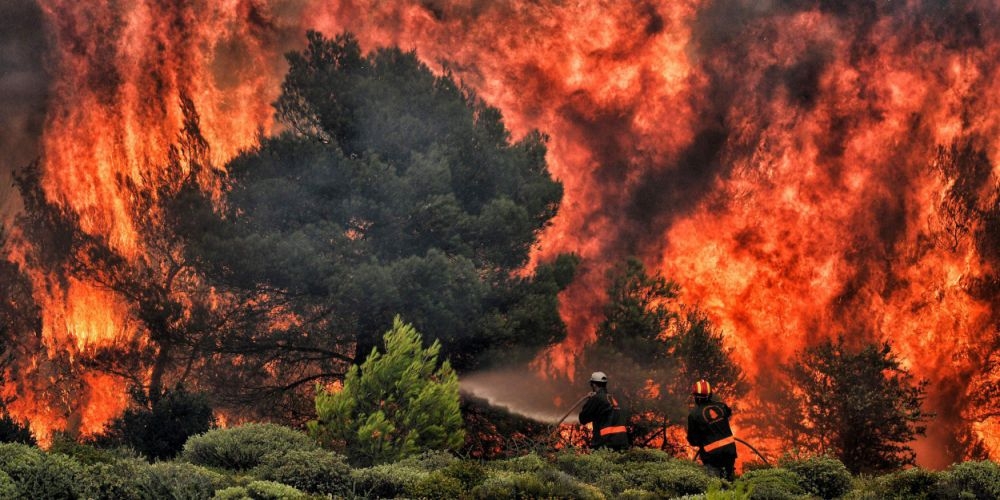 В лесных пожарах в Греции погибли 79 человек, еще 187 пострадали