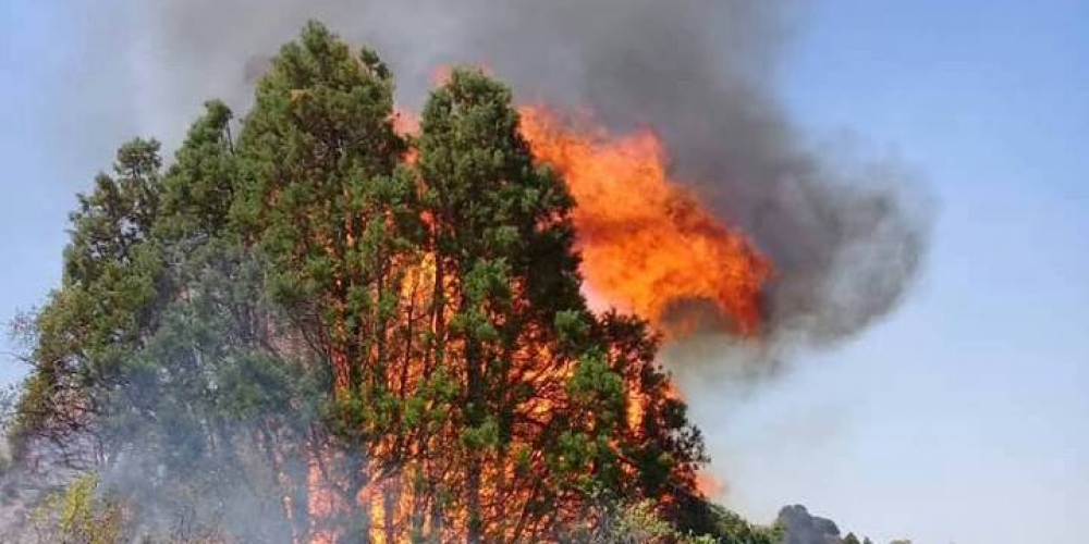 В Кыргызстане за сутки произошло 23 пожара