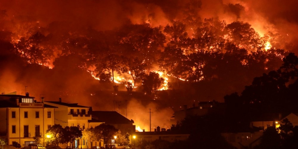 В Испании и Португалии из-за лесных пожаров эвакуировано около 2,5 тысяч человек