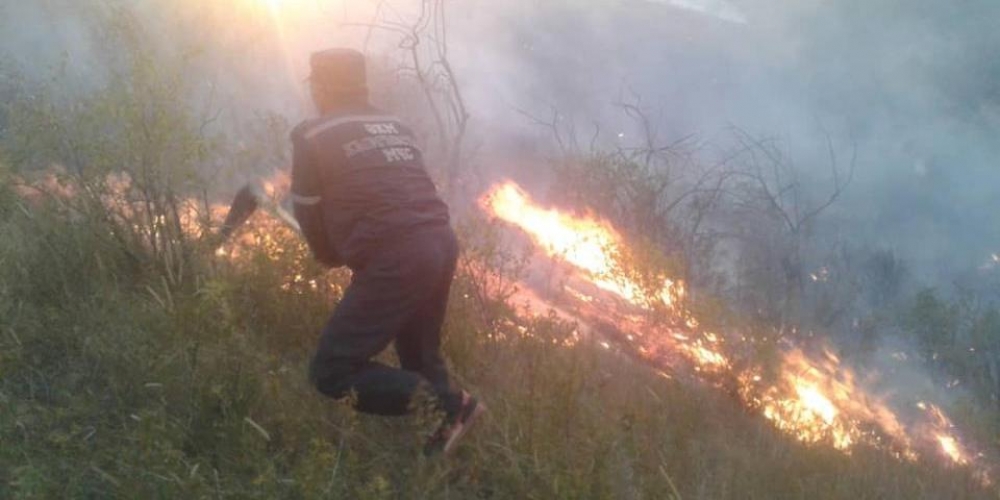 Пожар в Таласской области тушат 496 человек