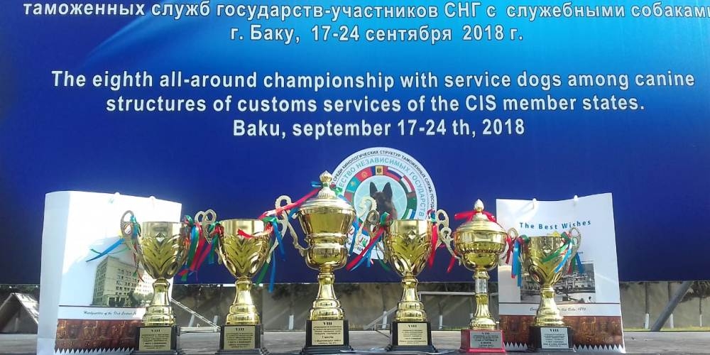 Кыргызстанские кинологи стали серебряными призерами соревнований среди стран СНГ