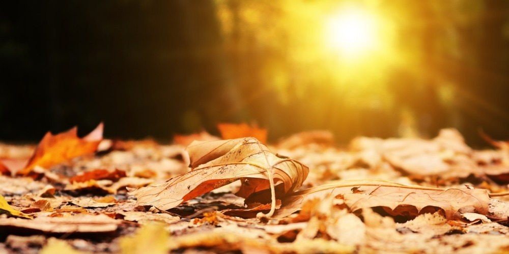 В КР средняя месячная температура воздуха в октябре ожидается выше нормы
