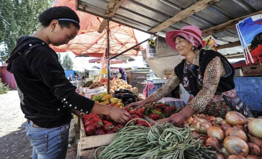 Логистический центр ФАО будет обеспечивать кыргызские школы местными продуктами