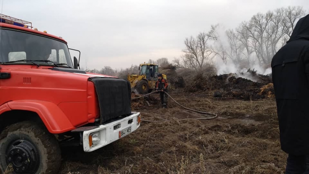 Пожар в оранжерее МП «Бишкекзеленхоз». Был поджог?