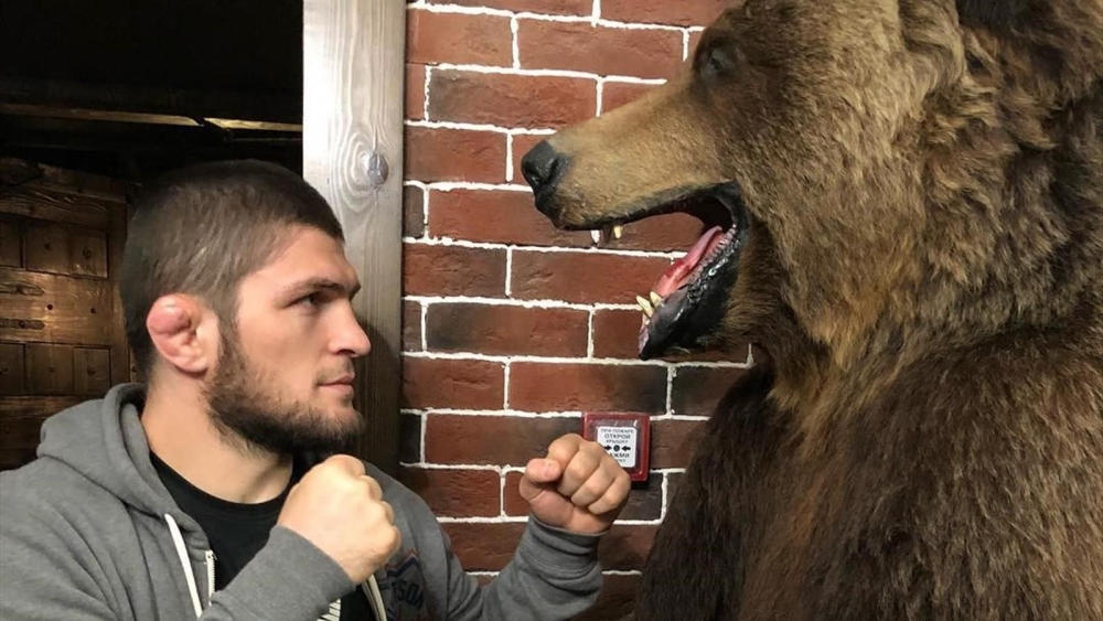 Чемпиона UFC Хабиба Нурмагомедова призвали бороться с людьми, а не с животными