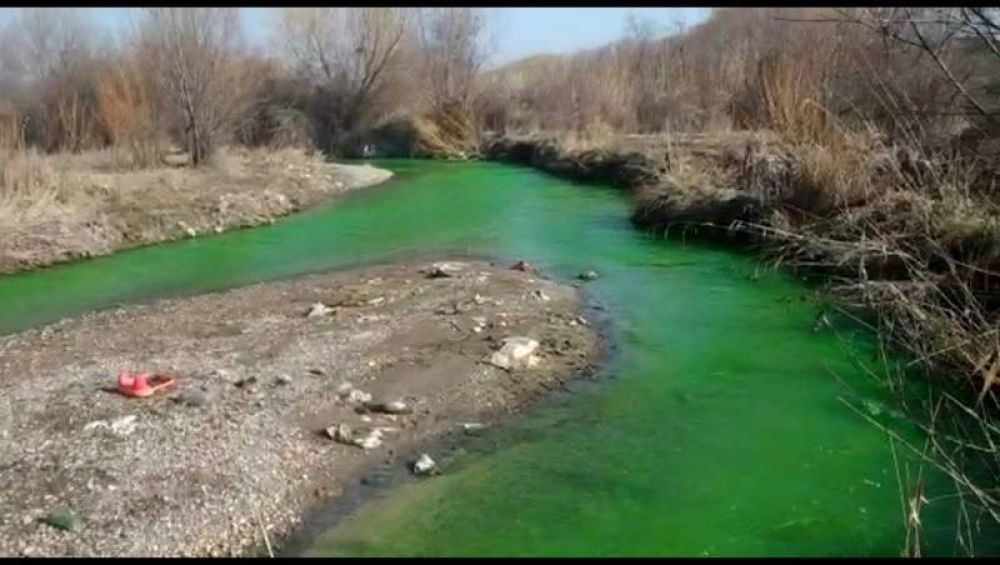 Зеленая вода в реке Аламедин. Госэкотехинспекция не спешит с выводами - результаты проб еще не готовы