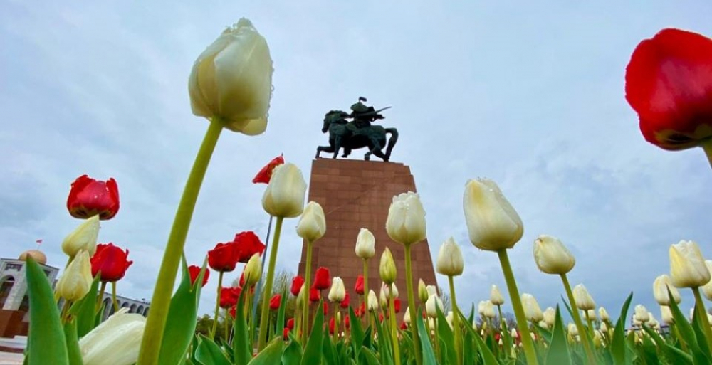 Для тех, кто остался дома. Мэрия Бишкека сняла видео о цветущем городе