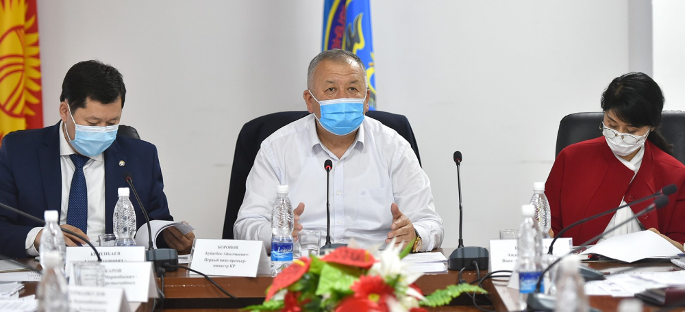 Боронов: Требовать у кыргызстанцев справки об отсутствии COVID-19 – излишняя мера