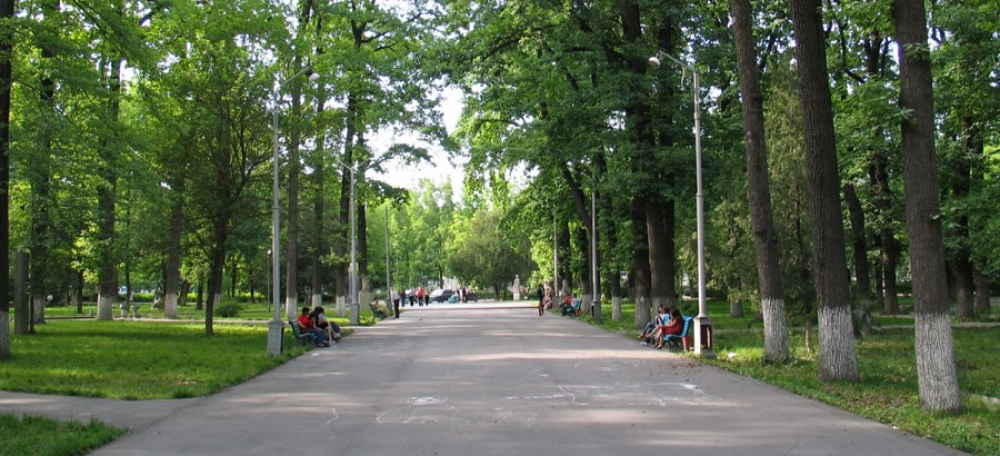 В Бишкеке для прогулок открылись парки и бульвары