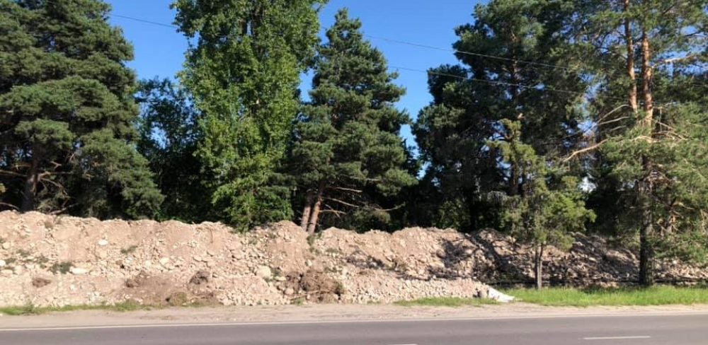 Экоцид деревьев в Бишкеке. Сотни многолетних растений могут погибнуть из-за стройки близ Южных ворот