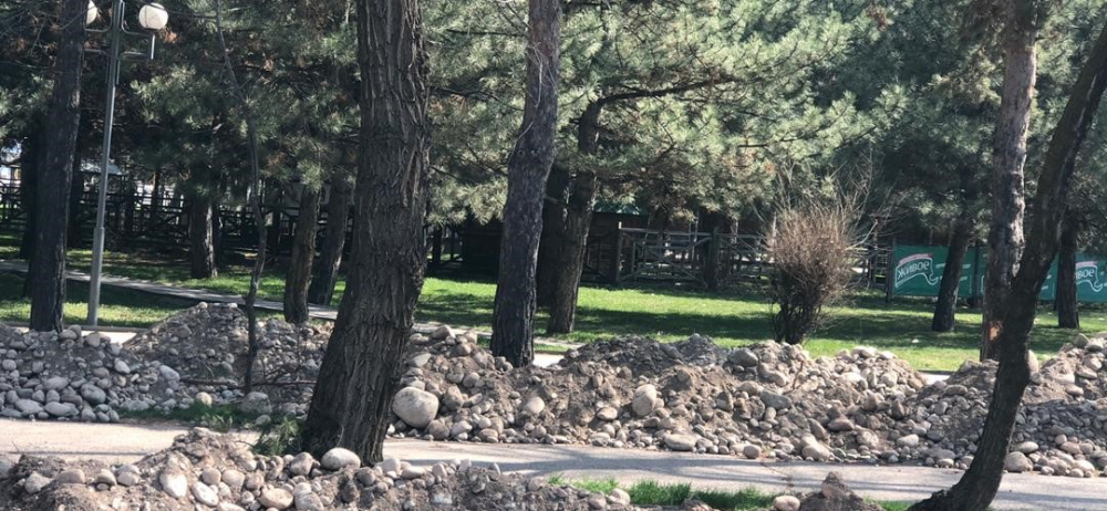 Траншеи возле парка имени Г.Алиева засыпали грунтом, деревья поливают