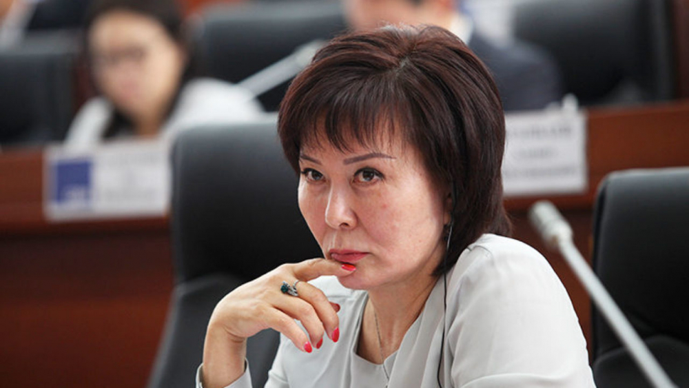 Депутат Гульшат Асылбаева зачистила свои налоговые декларации