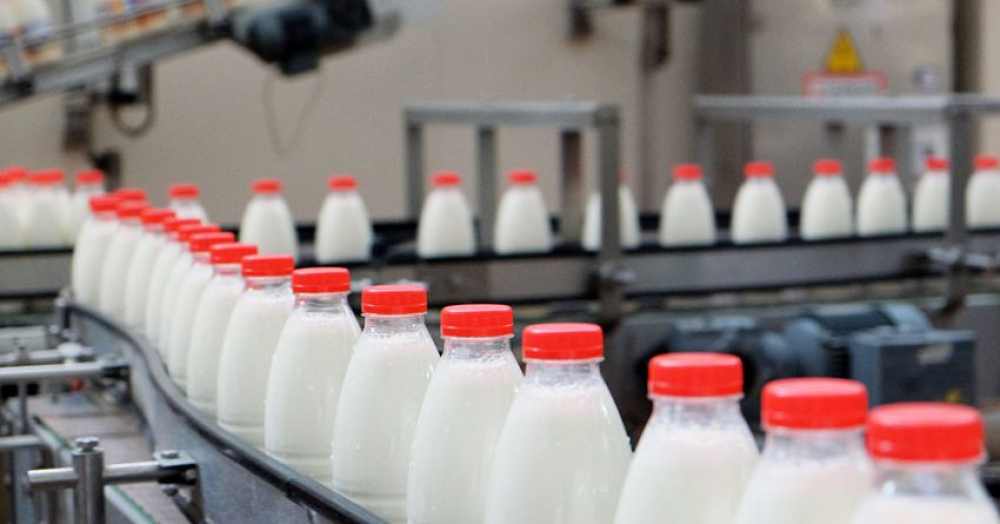 Качество молока в Кыргызстане будут проверять при помощи мобильного приложения