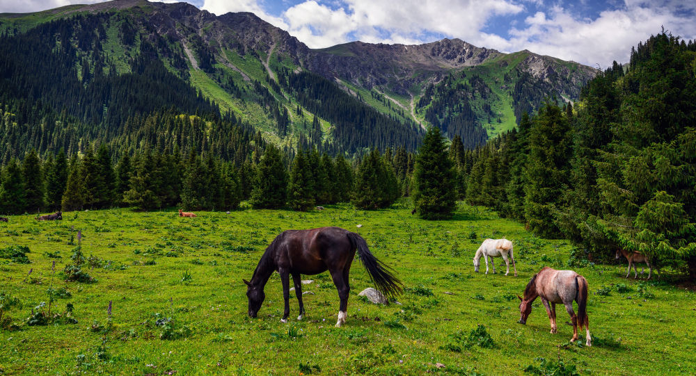Газета New York Times включила Кыргызстан в список лучших мест для путешествий