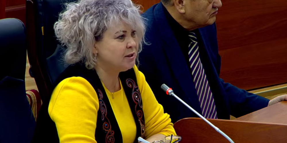 Депутат Ирина Карамушкина попросила власти быть осторожнее с допросами и арестами