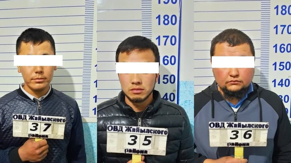 В Жайылском районе трое мужчин похитили несовершеннолетнюю девочку