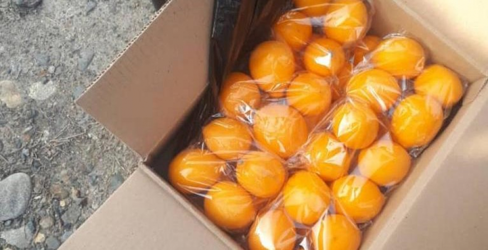 Сотрудники ГКНБ задержали контрабанду лимонов весом более 3 тонн