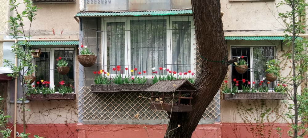 Весенний позитив: Житель 11-го микрорайона разбил в своем дворе клумбы