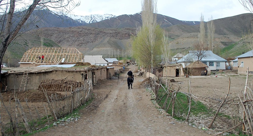 ГКНБ опровергает информацию о том, что военные Таджикистана не пускают жителей Чон-Алая на пастбище