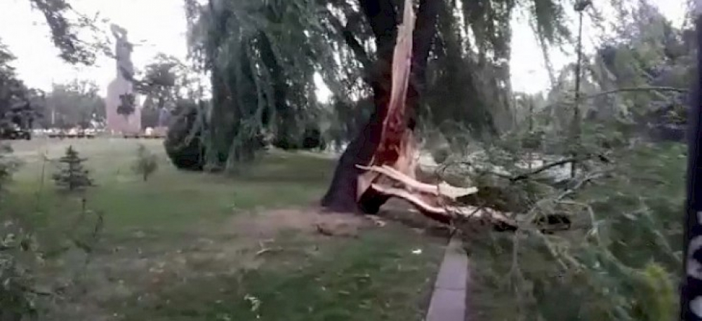 Последствия сильного ветра в Бишкеке: повреждены 2 автомобиля, 12 деревьев, рекламный щит и баннер