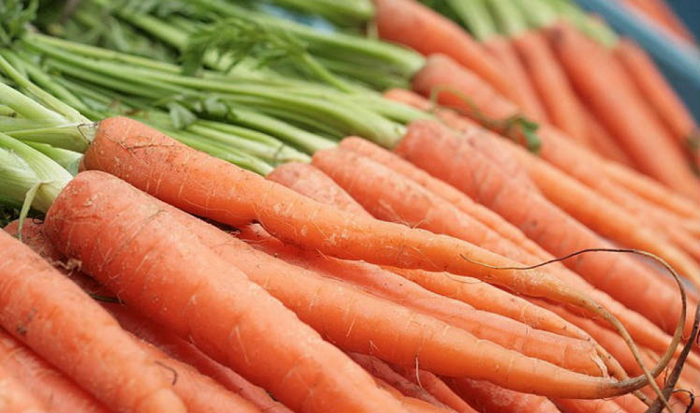 Минсельхоз запретит вывоз моркови и картофеля из Кыргызстана