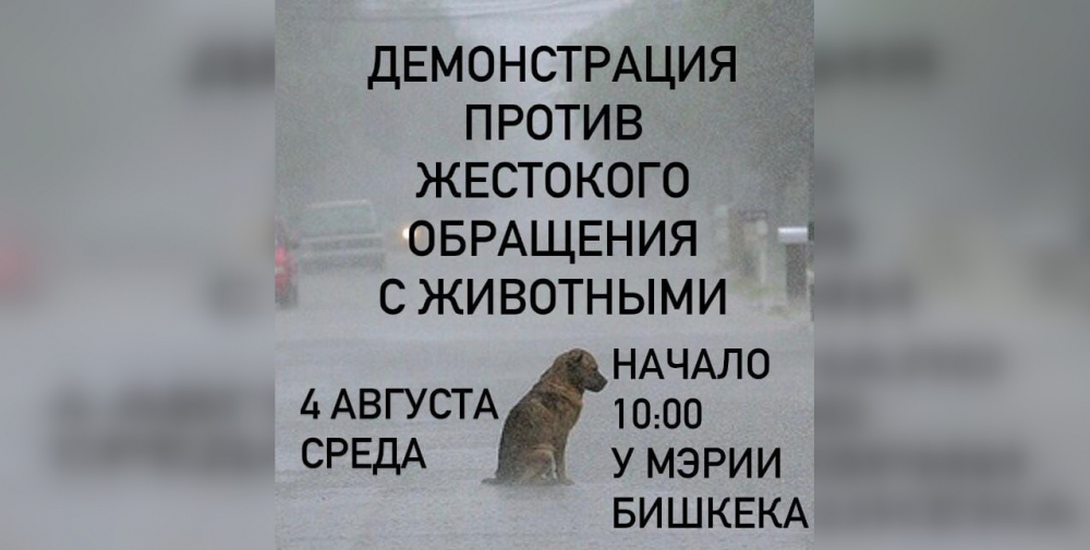 В Бишкеке пройдет демонстрация против жестокого обращения с животными
