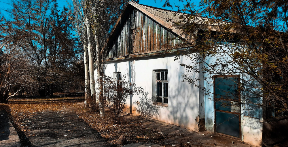 В санатории "Кыргызстан" в Воронцовке вырубают живые деревья
