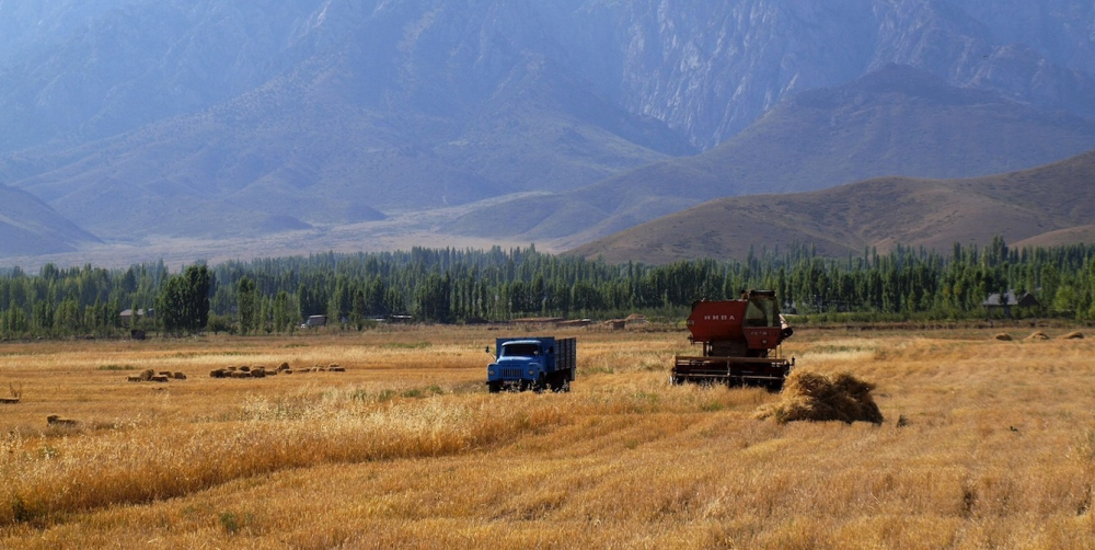 Фермеры Кыргызстана сомневаются, стоит ли им начинать посевной сезон 