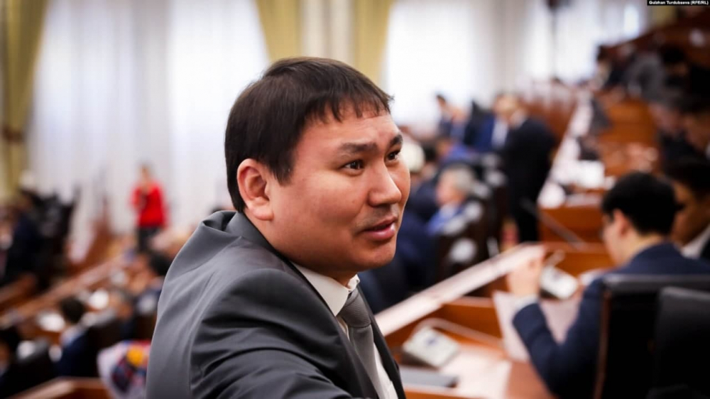 Сеидбек Атамбаев обратился к властям с просьбой решить проблему вырубки деревьев в санатории "Кыргызстан"
